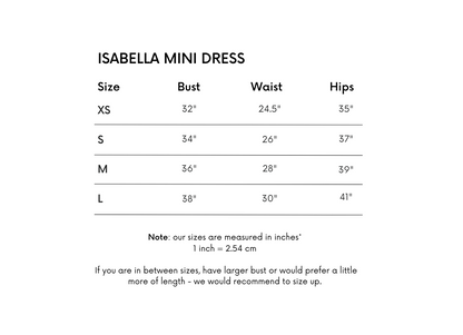 Isabella Mini Dress - White